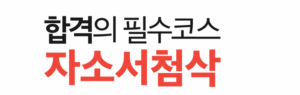 자소서첨삭 1 1